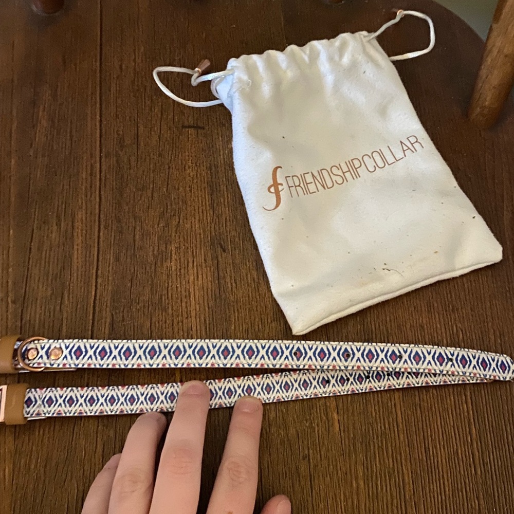 Friendship Collar